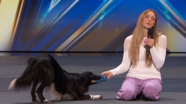 רוני שגיא ב"אמריקה גוט טאלנט" (צילום: סלקום tv)