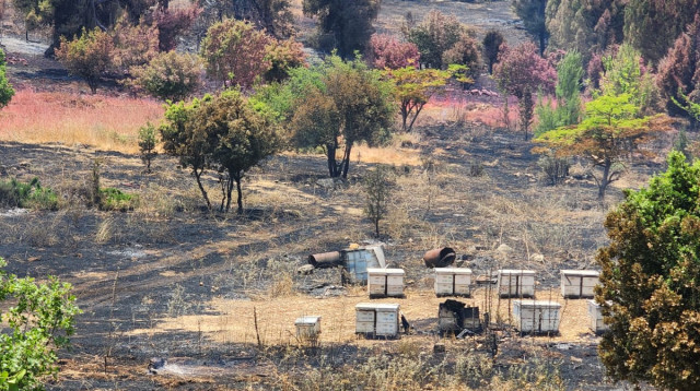 הנוף מאזור קיבוץ יראון (צילום: ללא)