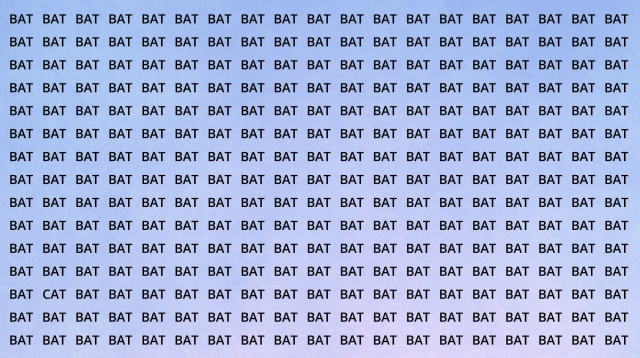 היכן מסתתרת המילה "CAT"? (צילום: ללא קרדיט)