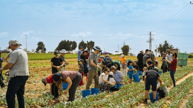 חקלאים בישראל (צילום: אמיר יעקובי)