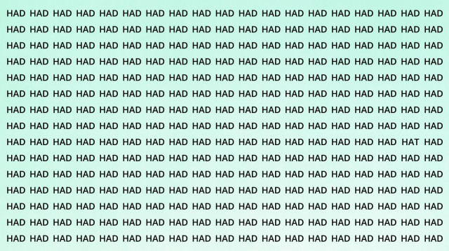 היכן מסתתרת המילה "HAT"? (צילום: ללא קרדיט)