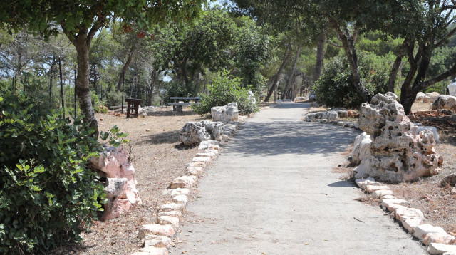 הטיילת במעלה יער צ'רצ'יל (צילום: ענת חרמוני, קק״ל)