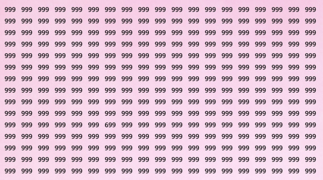 מצאו את המספר 699 (צילום: ללא קרדיט)