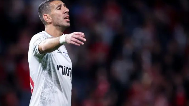 בלתי נגמר. טיבי (צילום: מאור אלקסלסי)