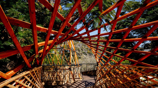 גן המדע ע"ש כלור במכון דוידסון לחינוך מדעי (צילום: עידו קגן)