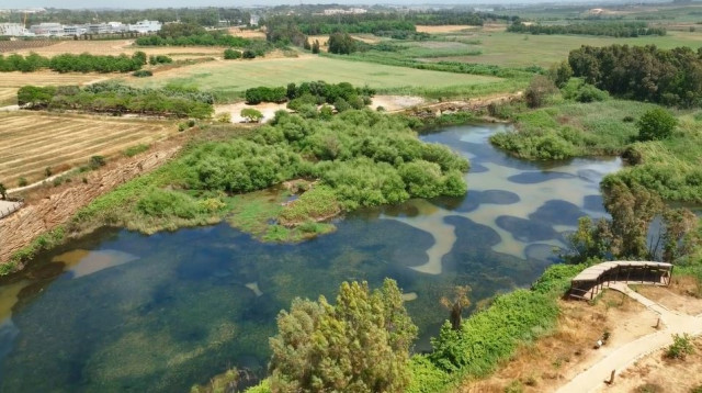 אגמון פולג  (צילום: רשות מקרקעי ישראל)