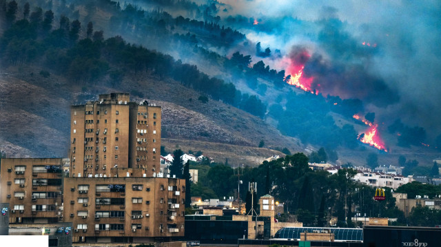 שריפות בצפון (צילום: אייל מרגולין, פלאש 90)
