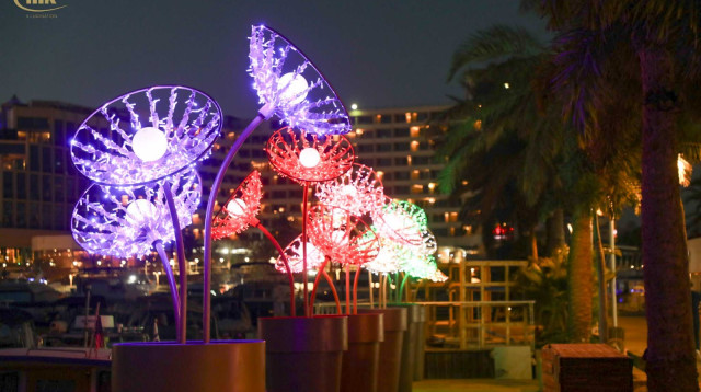 המיצג באילת (צילום: סיון פרג')