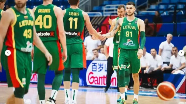 ליטא בדרך הנכונה (צילום: אתר רשמי, אתר פיב"א)