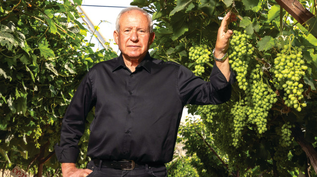 אבי דיכטר (צילום: יוסי אלוני, פלאש 90)