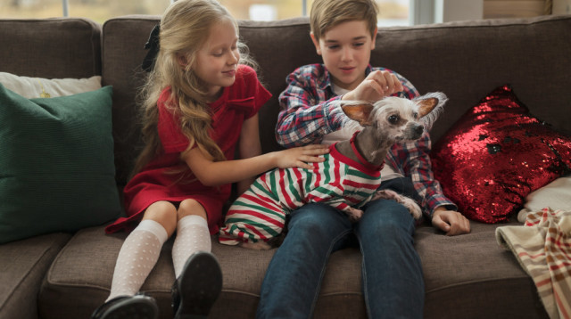 טיפים של חברת ספה נקייה להסרת כתמי קפה ושתן מספה (צילום: FREEPIK)