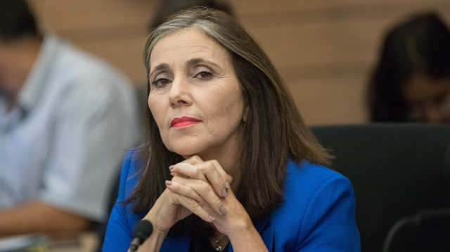 יוליה שמאלוב-ברקוביץ' (צילום: נועם ריבקין פנטון, פלאש 90)