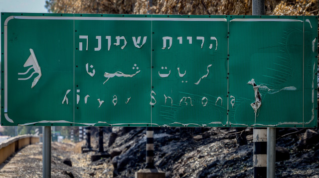 נזקי השריפות בצפון (צילום: דוד כהן פלאש 90 )