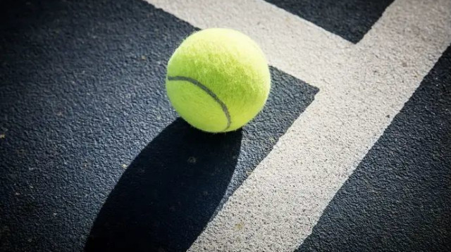  (צילום: אלכס גולדשטיין)