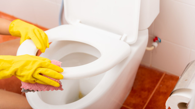 כל כמה זמן אתם מחליפים את מושב האסלה שלכם? (צילום: אינג'אימג')