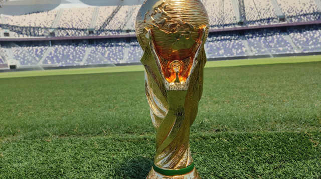 גביע העולם בכדורגל (צילום: אלי כהן)