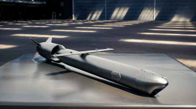 "השדון" (צילום: רביד (דוברות התע"א))