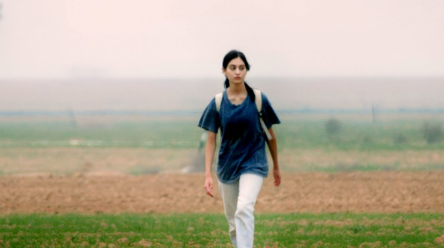 על כלבים ואנשים (צילום: זיו ברקוביץ')