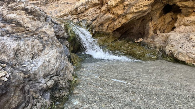 המפל בעין בוקק (צילום: גיל אהרוני מאתר "בא לי לטייל")