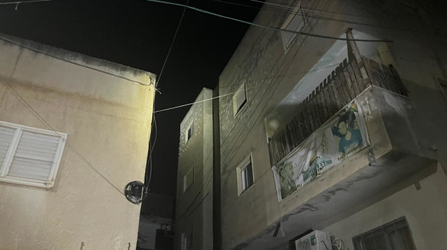 קלנדיה (צילום: אבי אשכנזי)