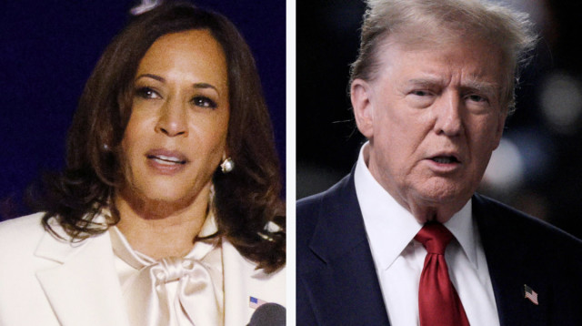קמלה האריס, דונלד טראמפ (צילום: רויטרס)