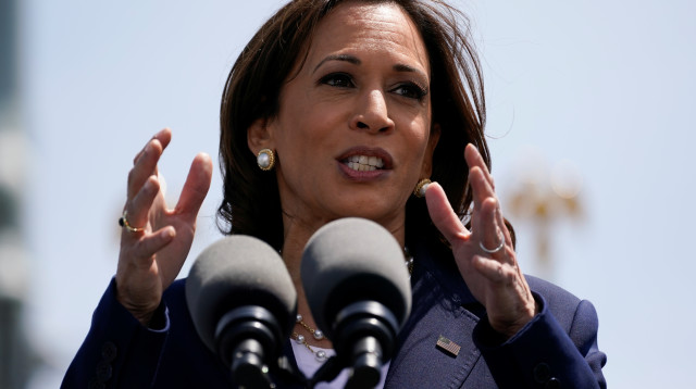 קמלה האריס (צילום: REUTERS/Bryan Woolston)