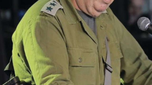 דובי אמיתי (צילום: עוז שכטר)