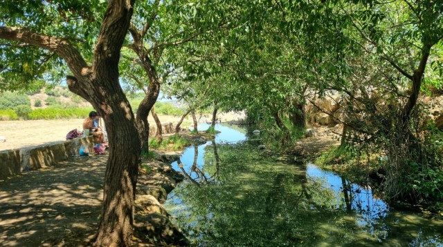 נחל ציפורי  (צילום: פנינה צייזלר, קק''ל)