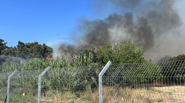 השריפות בגליל העליון בעקבות המטח מלבנון (צילום: שימוש לפי סעיף 27א')
