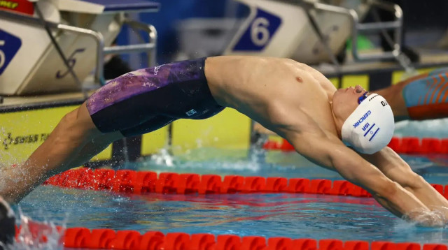 השחיין הישראלי דוד גרצ'יק (צילום: אתר רשמי, גלעד קוולרצ'יק, איגוד השחייה)