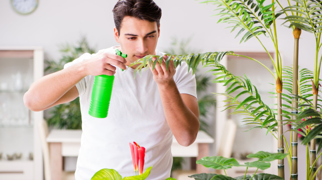 השקיה מוגזמת לא מותירה מקום לחמצן (צילום: אינג אימג')