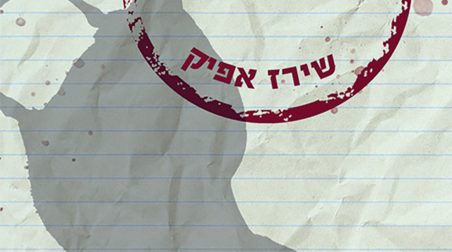 ליל הברווזים (צילום: תומר אפלבאום)