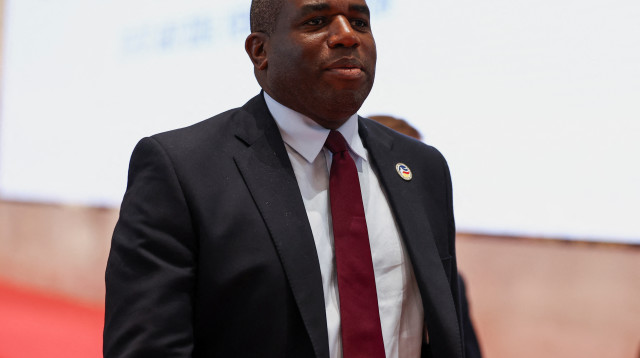 דיוויד לאמי (צילום: רויטרס)