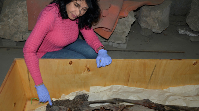 המומייה "האישה הצועקת" (צילום: רויטרס)