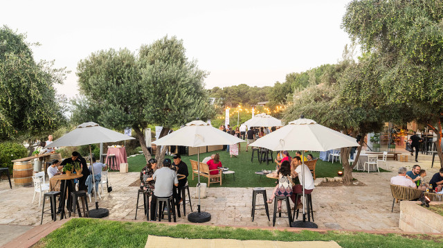 פסטיבל מיט גארדן (צילום: נועם מורנו)