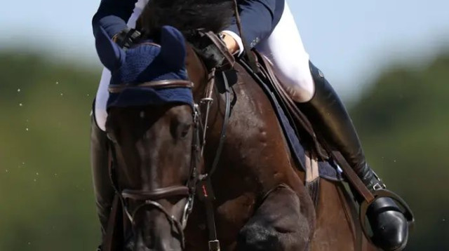 נתן את הביצוע היותר טוב מבין הישראלי, אבל זה לא הספיק. רובין מוהר (צילום: GettyImages)