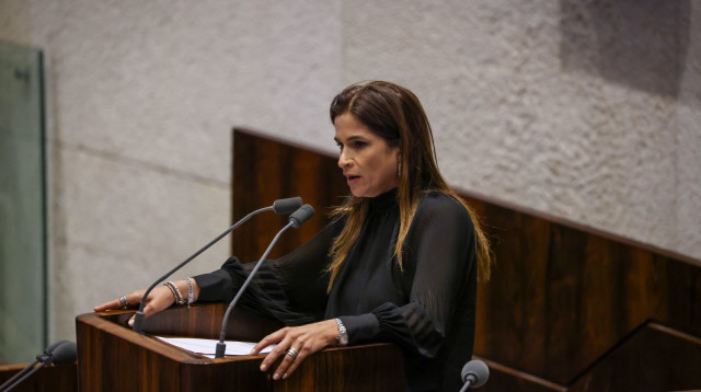 מירב בן ארי (צילום: נועם מושקוביץ, דוברות הכנסת)