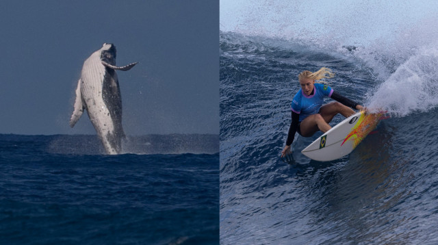 תחרות הגלישה באולימפיאדת פריז 2024 (צילום: רויטרס)