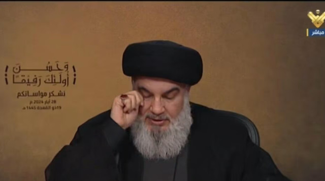 נסראללה (צילום: צילום מסך)