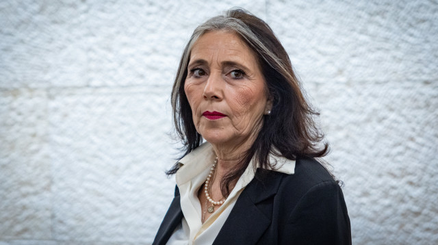 יוליה שמאלוב-ברקוביץ' (צילום:  חיים גולדברג, פלאש 90)