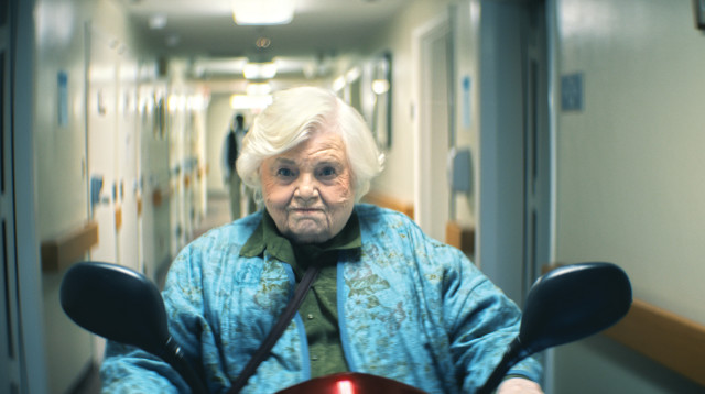 "תלמה" (צילום: טוליפ מדיה )