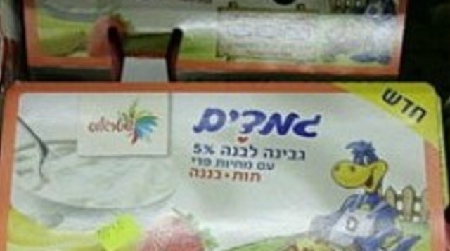 מעדן גמדים (צילום: יהודה לחיאני)