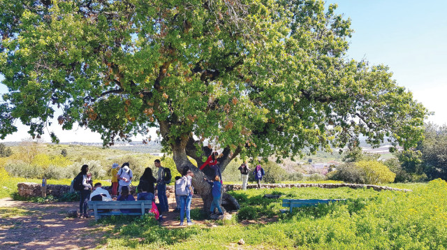 פארק רמת הנדיב (צילום: רוני קיסרי)