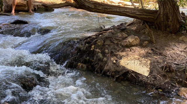 אבו רבאח (צילום: מרכז בשבילוד)