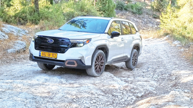 סובארו פורסטר (צילום: יח"צ)