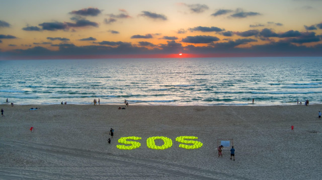 מיצג מני גודארד (צילום: יאיר פלטי)