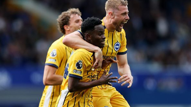 שחקני ברייטון חוגגים (צילום: Jan Kruger / Stringer)