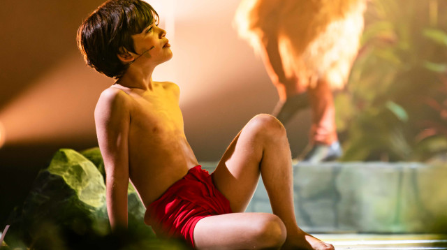 ספר הג'ונגל (צילום: עלמה פרידן)