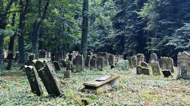 בית הקברות היהודי בלודז' (צילום: מאיר עוזיאל)