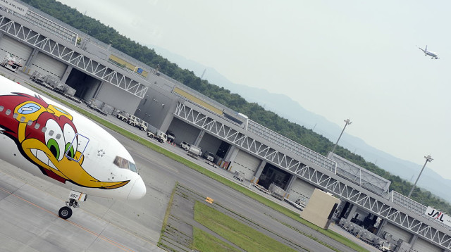 שדה התעופה צ'יטוסה (צילום: JEWEL SAMAD/AFP via Getty Images)